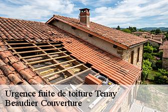 Urgence fuite de toiture  tenay-01230 Beaudier Couverture 