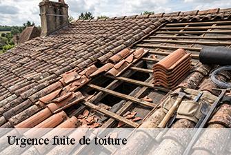 Urgence fuite de toiture  tenay-01230 Beaudier Couverture 
