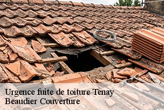 Urgence fuite de toiture  tenay-01230 Beaudier Couverture 