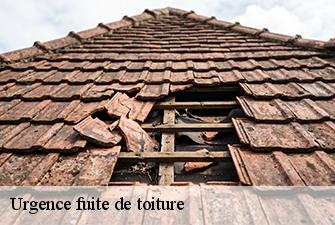 Urgence fuite de toiture  tenay-01230 Beaudier Couverture 