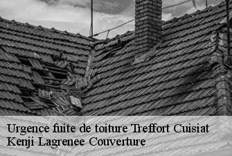 Urgence fuite de toiture  treffort-cuisiat-01370 Kenji Lagrenee Couverture
