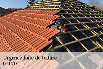 Urgence fuite de toiture  vesancy-01170 Renov Pro 01