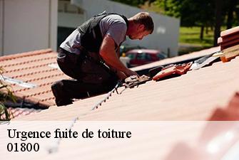 Urgence fuite de toiture  villieu-loyes-mollon-01800 Renov Pro 01