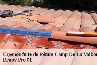 Urgence fuite de toiture  camp-de-la-valbonne-01360 Renov Pro 01