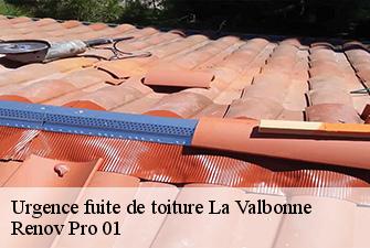Urgence fuite de toiture  la-valbonne-01360 Renov Pro 01