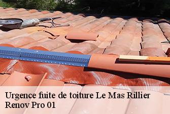 Urgence fuite de toiture  le-mas-rillier-01700 Renov Pro 01