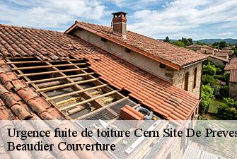 Urgence fuite de toiture  cern-site-de-prevessin-01630 Beaudier Couverture 