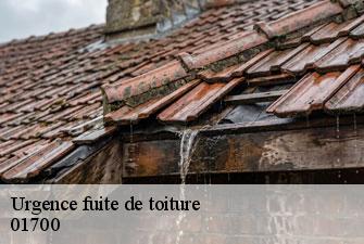 Urgence fuite de toiture les-echets-01700 Kenji Lagrenee Couverture